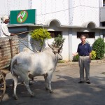 India 2003 026
