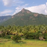 India 2003 134