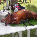 smallPigRoast